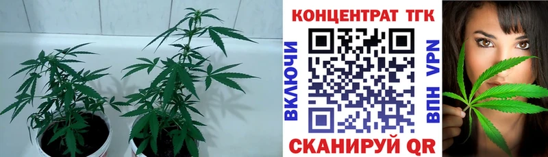 Купить закладки  Купино  Дистиллят ТГК жижа 