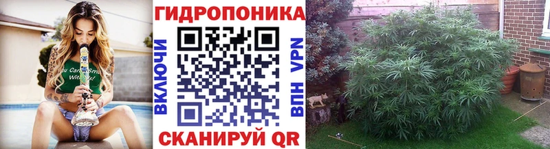 Бошки марихуана гибрид Купино